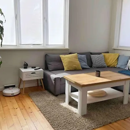 Cozy & Boho Center Daire